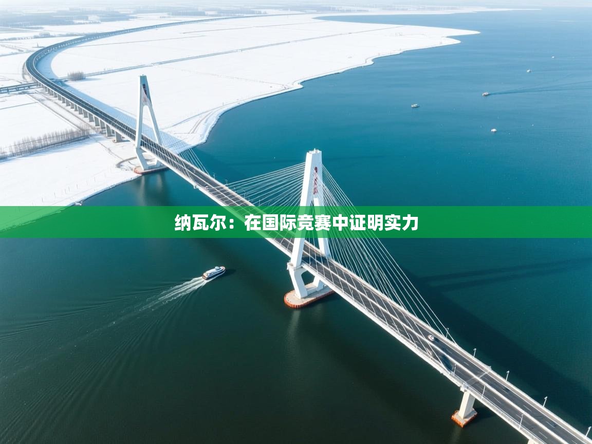 纳瓦尔：在国际竞赛中证明实力  第1张