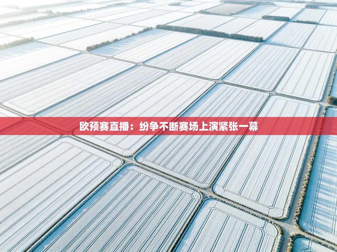 欧预赛直播：纷争不断赛场上演紧张一幕  第1张