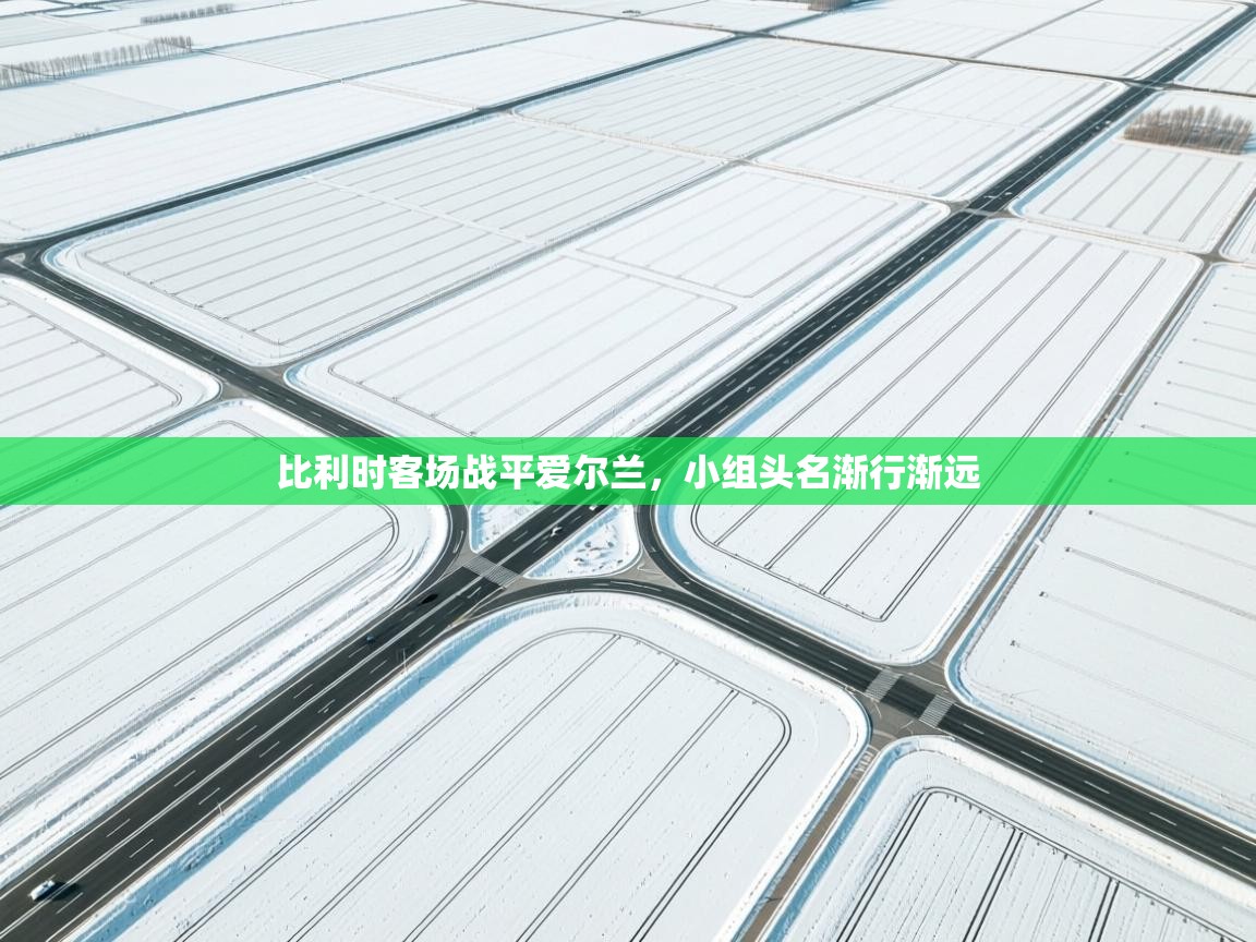 比利时客场战平爱尔兰，小组头名渐行渐远  第1张