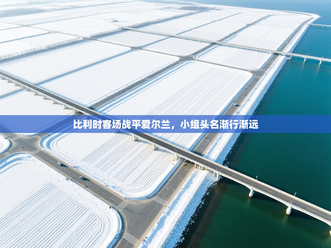 比利时客场战平爱尔兰，小组头名渐行渐远  第2张