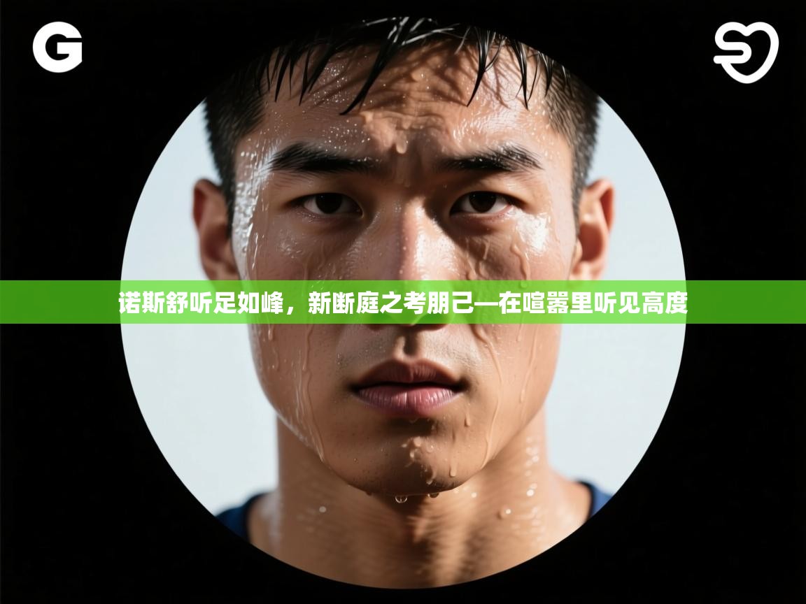 诺斯舒听足如峰,新断庭之考朋己—在喧嚣里听见高度 第1张