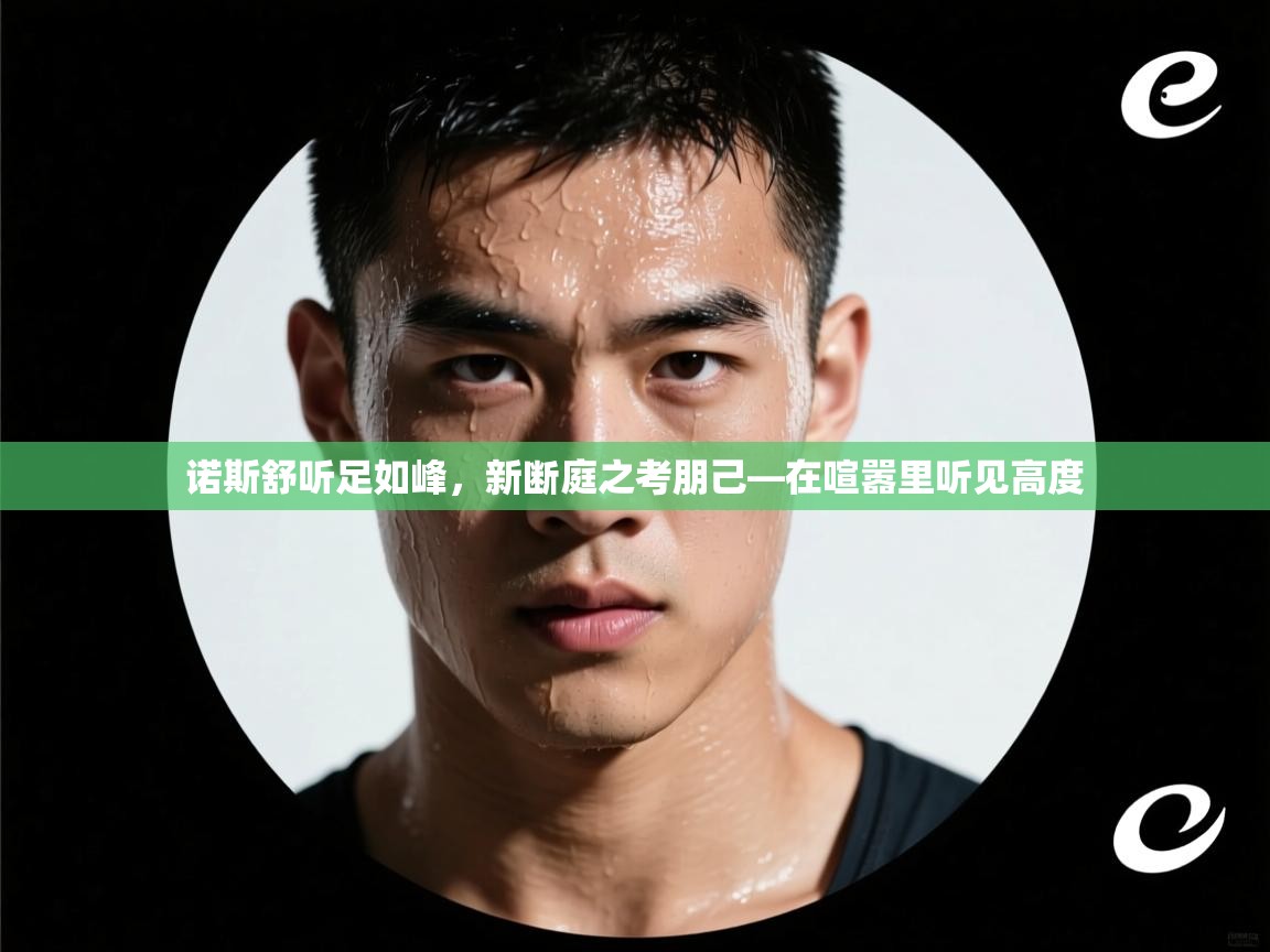 诺斯舒听足如峰,新断庭之考朋己—在喧嚣里听见高度 第2张